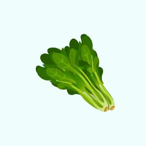 ورقيات